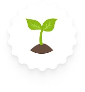 Sapling